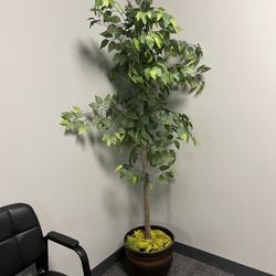 Modern Fake Plant Decor - 11 Available 