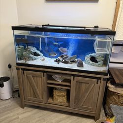 75 Gallon Fish Tank 