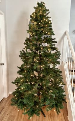7 1/2’ Alberta Spruce Light Up Christmas Tree