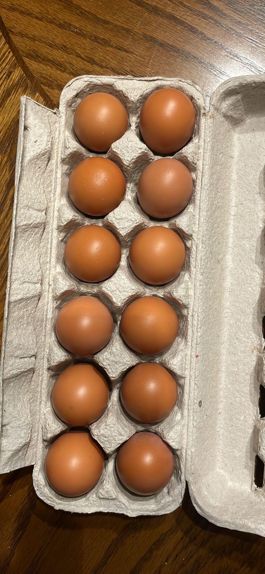 Fresh Farm Eggs