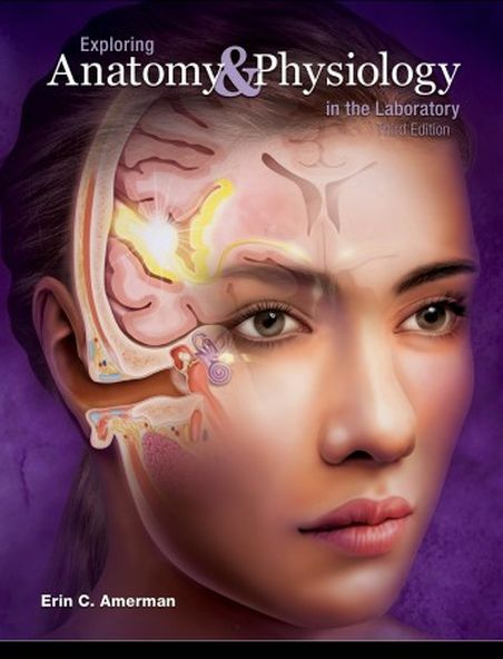 Exploring Anatomy & Physiology in the Laboratory 3rd Edition 3e by Amerman 9781617316203 eBook PDF Free instant Delivery