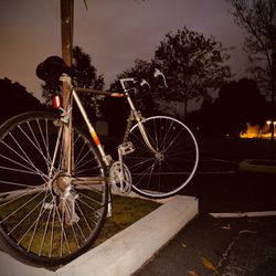 Vintage Peugot Road Bike ( RARE ) 