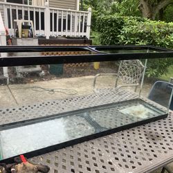 50+ Gallon Tank 