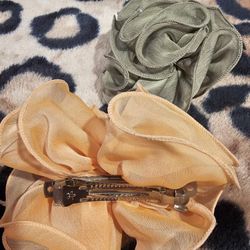 Hair Clips ALL FOR 5.00!