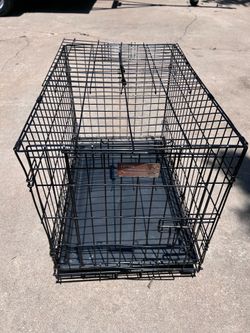 Wire Dog Kennel