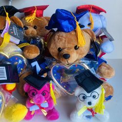 Graduation 👩‍🎓 Gift Teddy Bear 🧸 