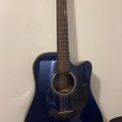 Takamine Guitar  