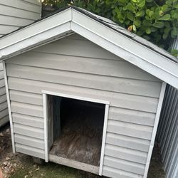 Dog House 