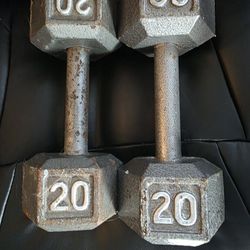 Two 20lb Dumbbells