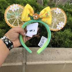 New Disney Parks Minnie Mouse Ears 
