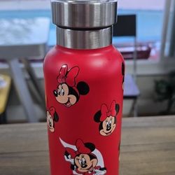 New Minnie Mouse Disneyland Insulated 19oz Water Bottle