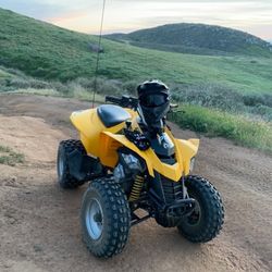 Can Am Ds 250 