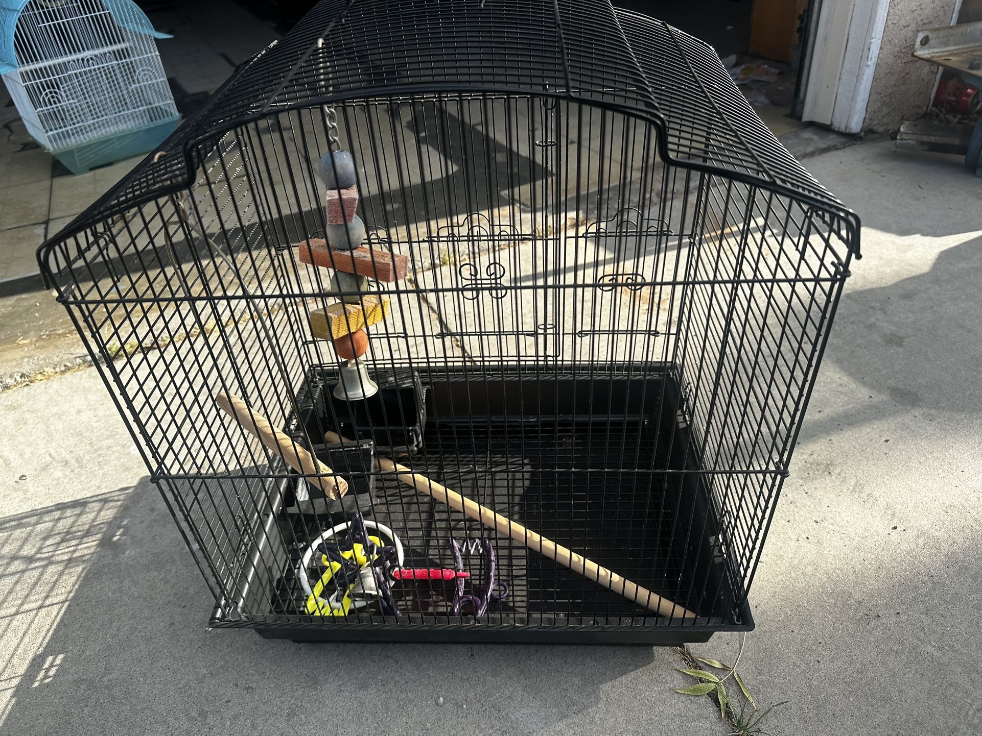 Bird Cage