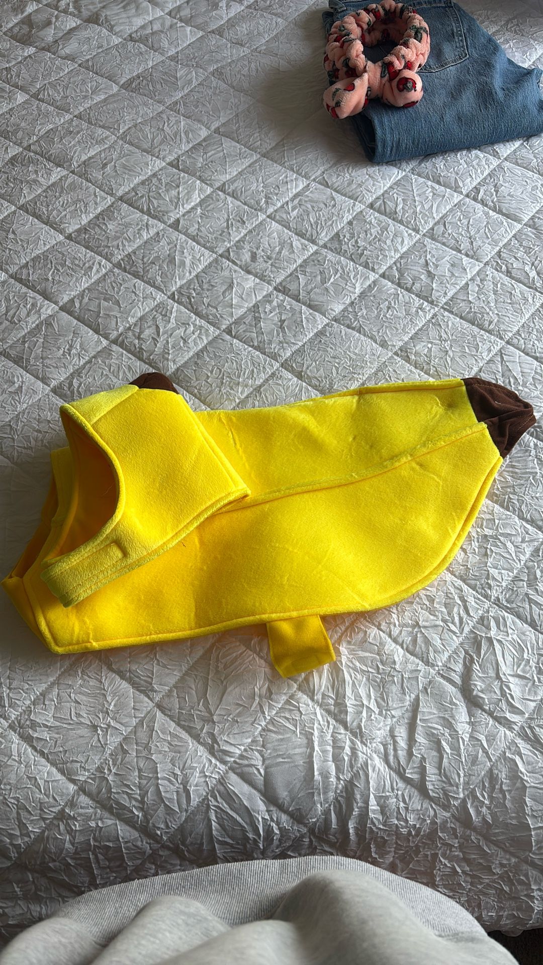Dog Banana Costume