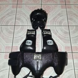 Cleto Reyes Boxing Set