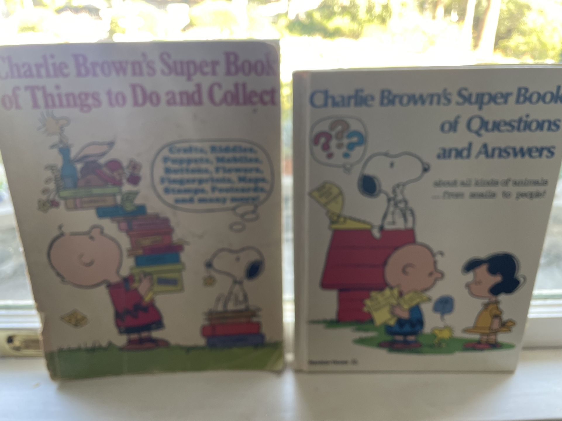 Charlie Brown’s Super Book Of Things To Do And Collect And Book Of Questions And Answers