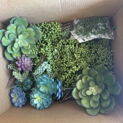 Assorted Faux Succulents 
