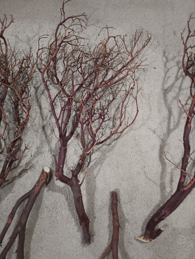 Manzanita Branches Centerpieces