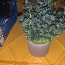 Fake Plastic Office Tree