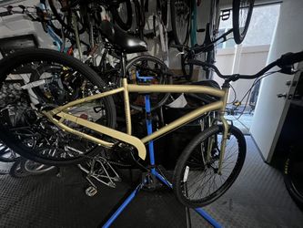 Gold Beach Cruiser New 