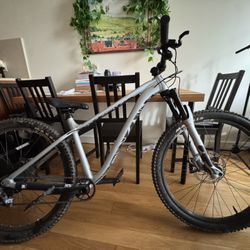 🔥 29er Trail MTB – RaceFace Build – Magura MT5 – Dropper – DT Swiss