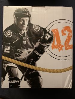 Anaheim ducks