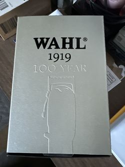 Wahl 1919