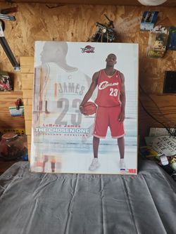 Iconic LeBron James Rookie Poster 16"x20"