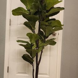 LUWENER 6ft Artificial Fiddle Leaf Fig Tree Plant,Fake Ficus Lyrata In Pot,Ficus Faux Plant Artificial Trees For Office Indoor Outdoor Garden Living R