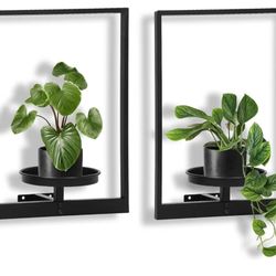 3 Plant Frames