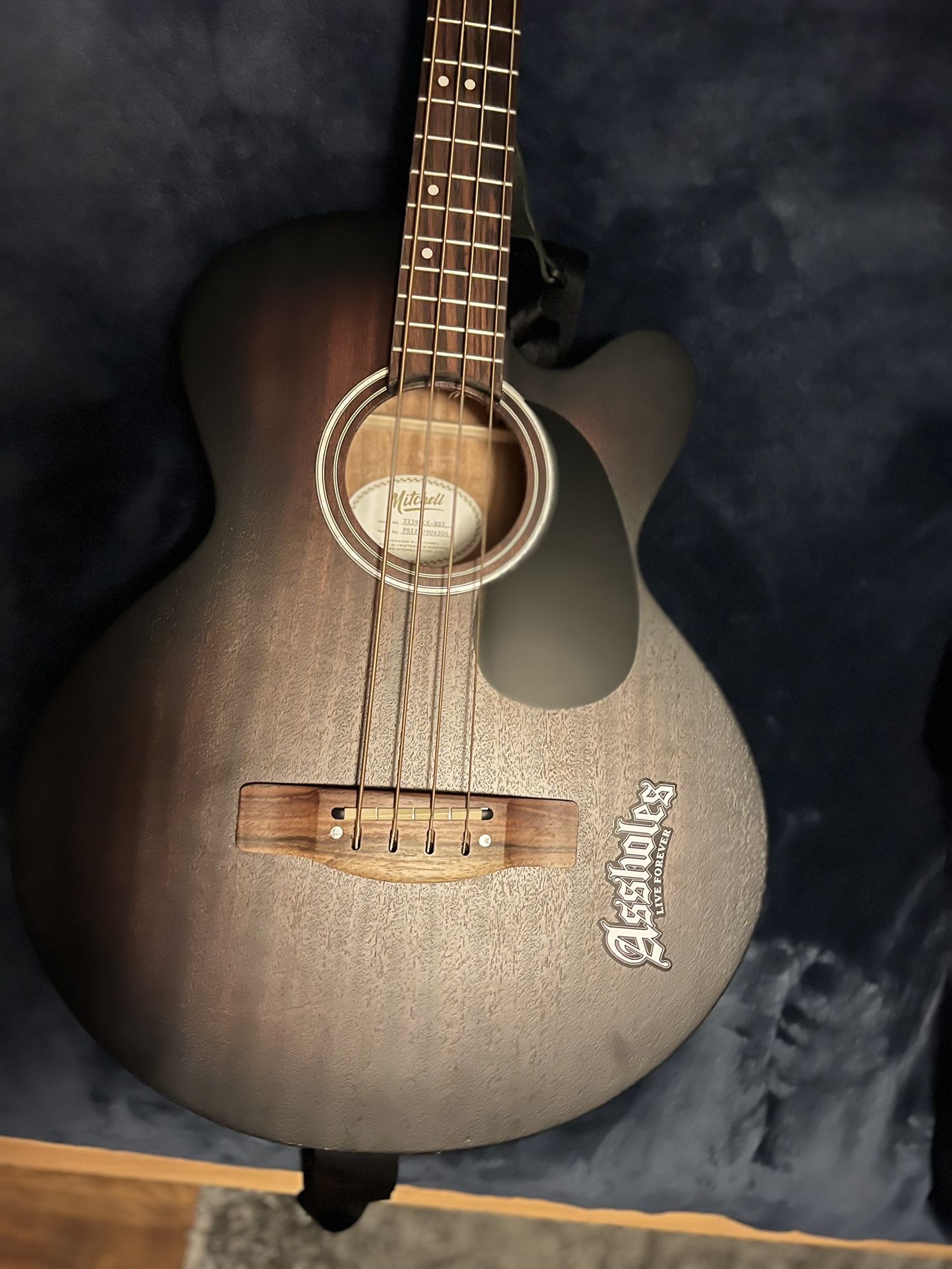 Acoustic Bass Guitar (Bajoloche)