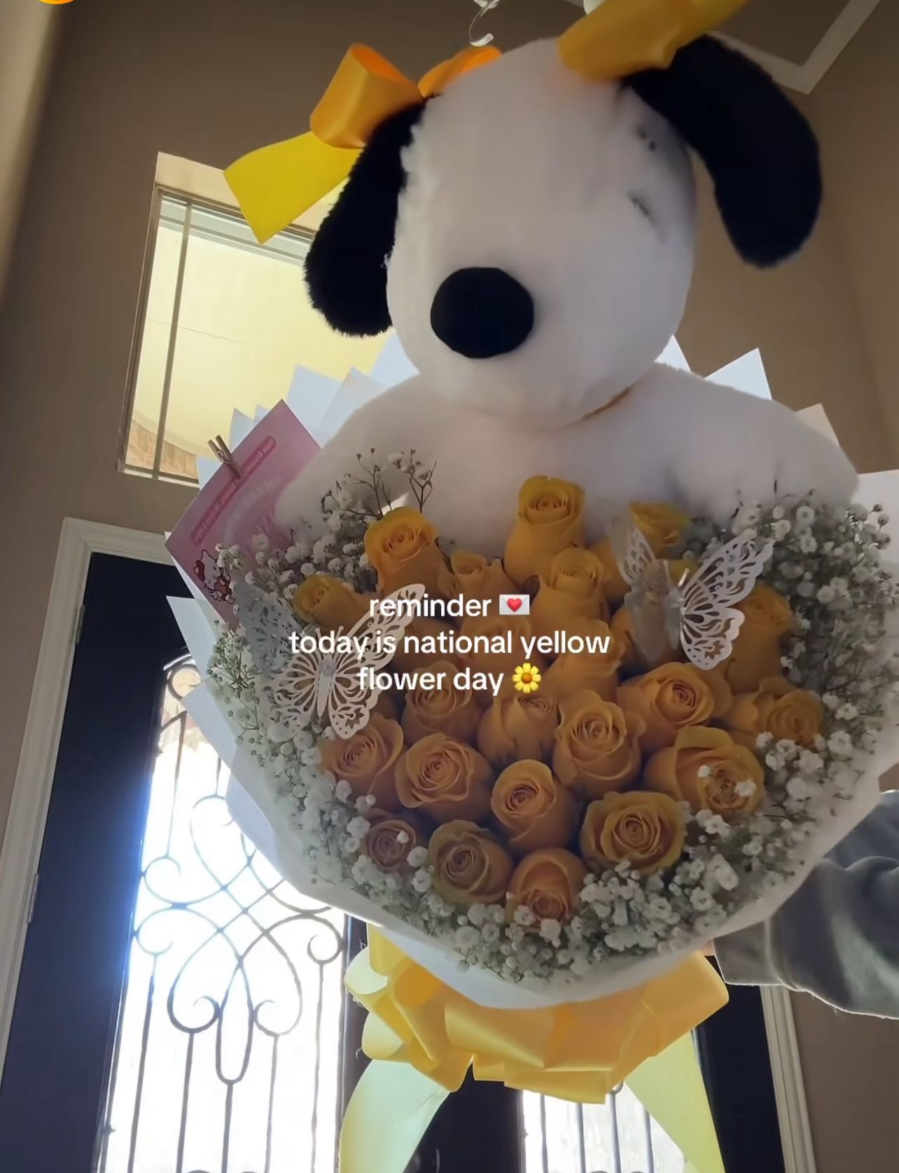 Snoopy Bouquet 25 Roses