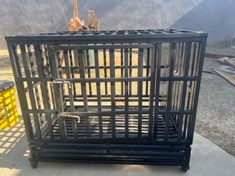 Kennel