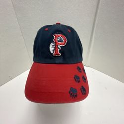 Vintage Pawtucket Pawsox StrapBack Hat Cap MILB WooSox Worcester Red Sox Rare