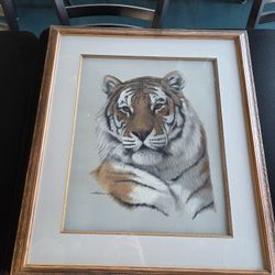 Tiger Canvas