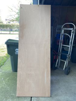 Construction Site Hollow Unfinished Door. Needs One Side Cleaned