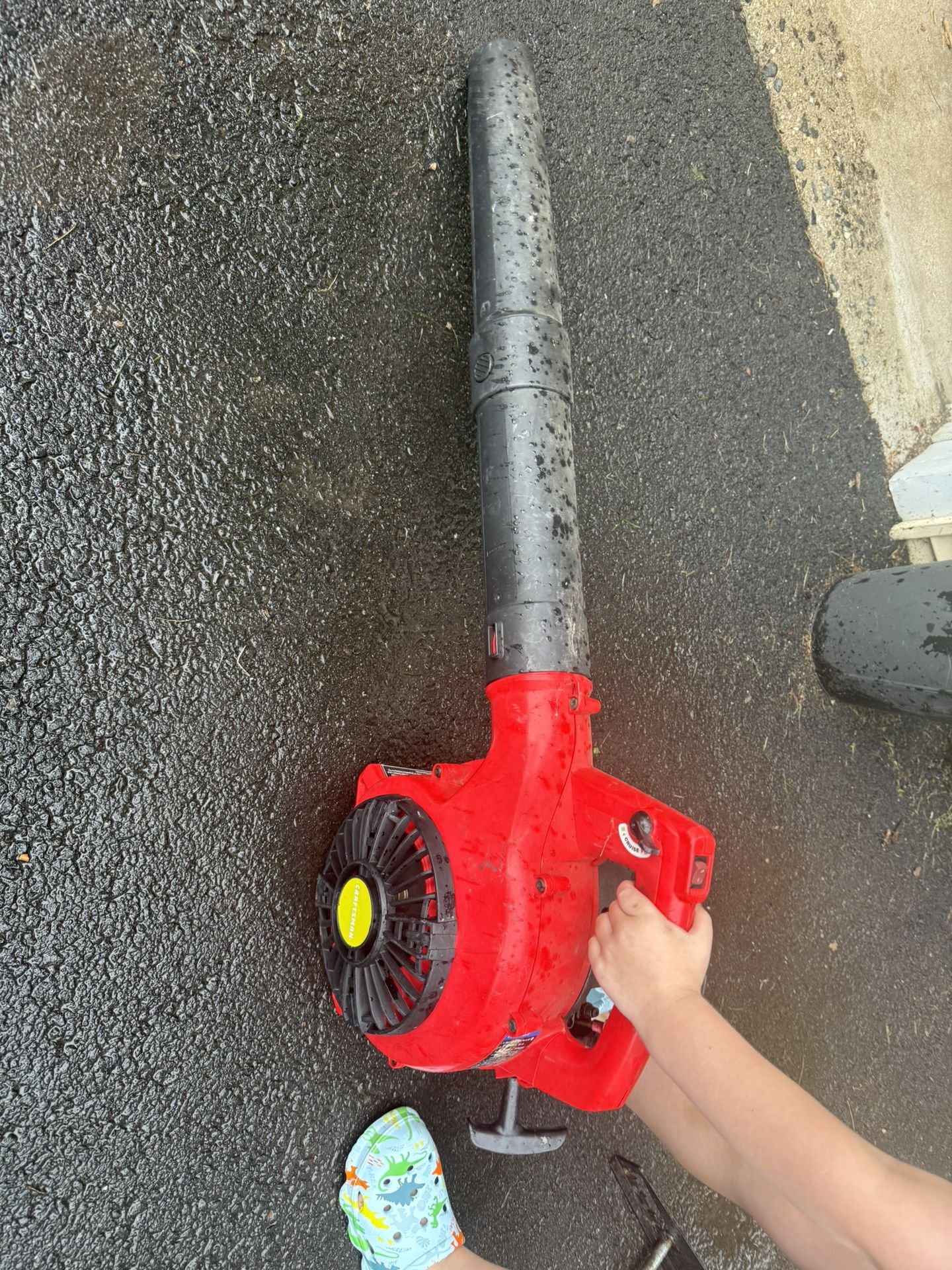Leaf blower