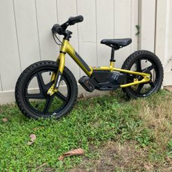 Harley Davidson Stacyc Iron E16 Electric Kids Youth Bike Bicycle