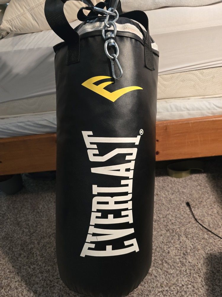 Everlast Punching Bag And Stand
