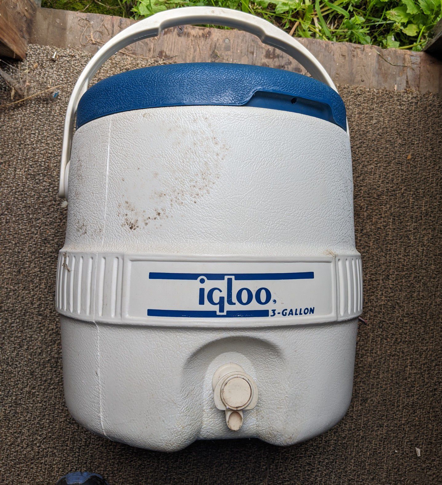 3 Gallon Igloo Cooler
