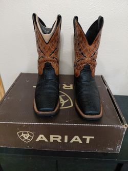 Men's Ariat Boots 