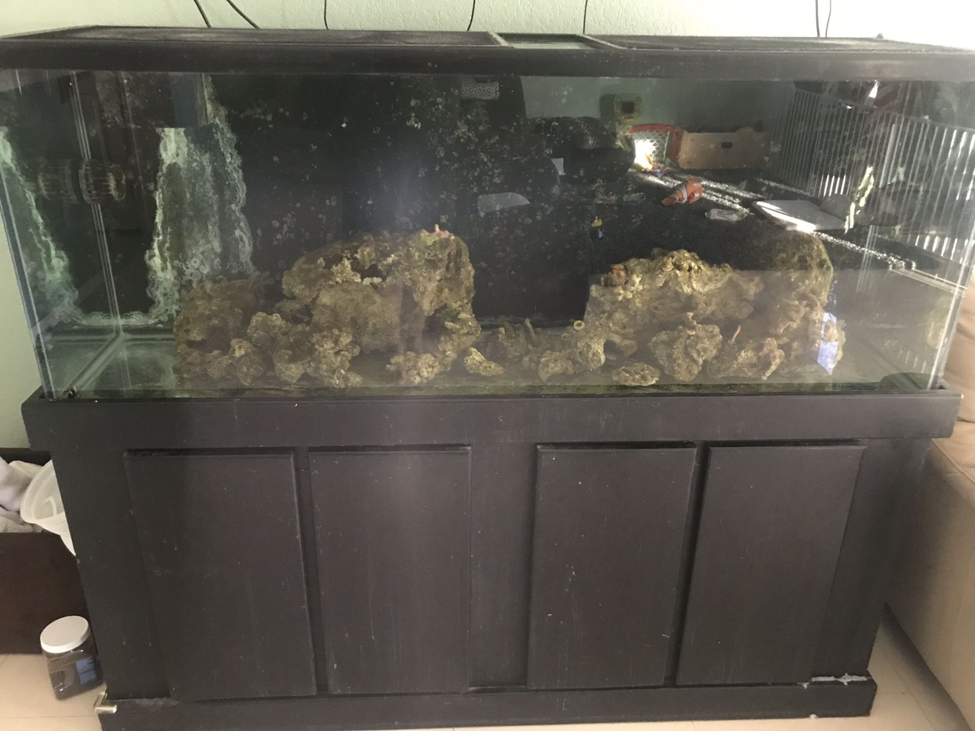 100 gallon aquarium and stand