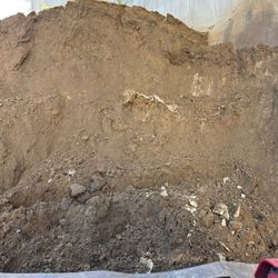 Free Dirt