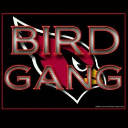 2 tickets Rams @ Cardinals 