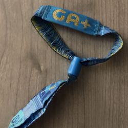 EDC Las Vegas 2025 Saturday and Sunday GA+ (plus) Pass