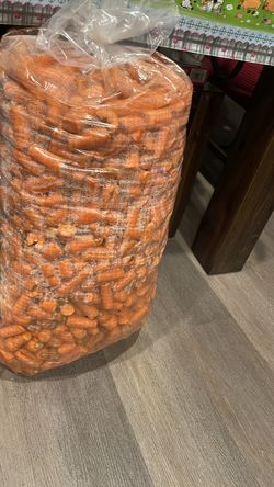 Free carrots for horses