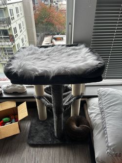 Cat Tree