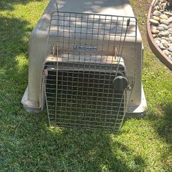 XL Petmate Dog Kennel 