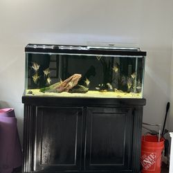 75 gallon Fish Tank With Sump Filter