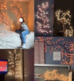 Location : Eastvale pick up / 1Pc Cherry Blossom Branch LED Light, USB Powered 8 Flashing Modes, Soft & Bendable, Suitable For Indoor And Outdoor,Liv